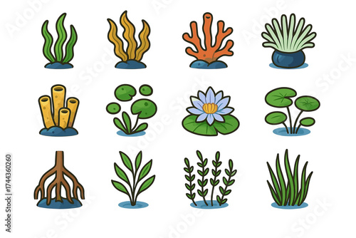 Colorful aquatic plants set with flowers and leaves