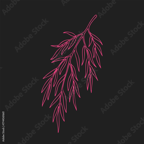 Elegant neon pink outline of a delicate fern leaf on a dark emphasizing natural botanical beauty