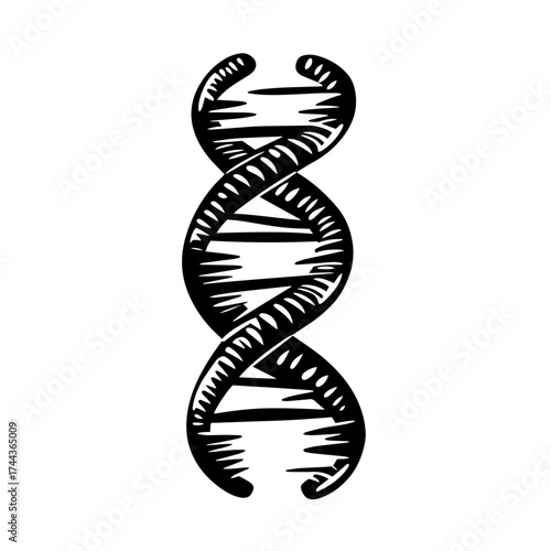 DNA helix silhouette — scientific genetic biology structure icon vector illustration