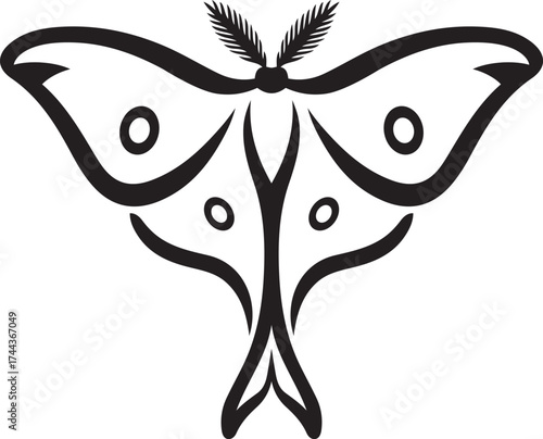 Stylized luna moth black and white graphic, Elegant insect butterfly vector illustration