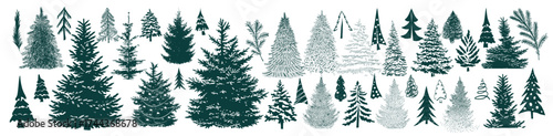Christmas trees set. Hand drawn. Not AI, vector illustration.