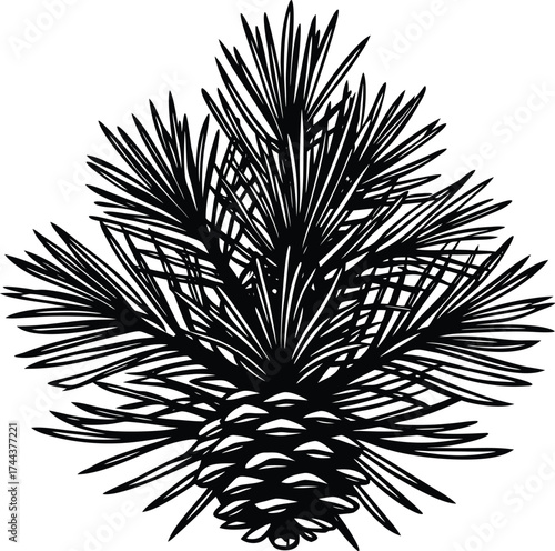 Joyful children enjoying outdoor fun with hot air balloon and trees isolated on transparent background