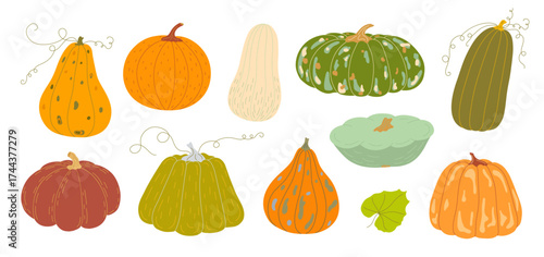 Pumpkins set hand drawn vector illustration in warm orange colors, vegetable for seasonal autumn, fall holidays celebration design, healthy vegetarian diet ingredient, Thanksgiving, Halloween clipart