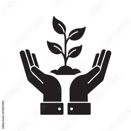 Hands gently cupping young plant seedling sprout growing sustainably and caringly.