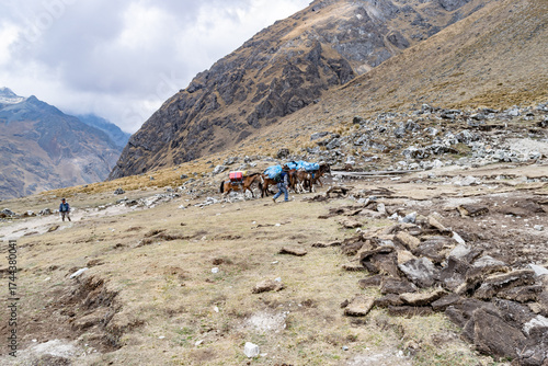 Foto Person trekking salkantay trail with pack mules in andes