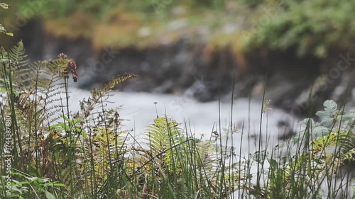 Kleiner Bachlauf in den Alpen