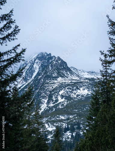 Snowy Mountain Peak Framed by Pine Trees in Winter Forest