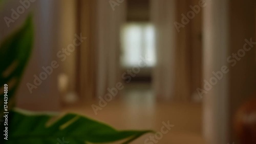 Mindful States: Quiet Moments of Inner Balance Amid Soft Light