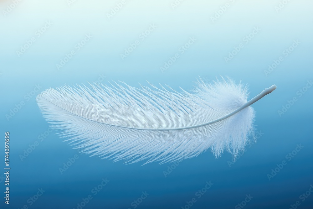 Obraz premium A single delicate white feather floats gracefully against a serene gradient blue background. This minimalist image perfectly captures lightness, purity, and tranquility.