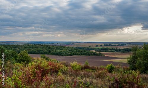 landscape with colorful autumn trees, village gardens, forest on the horizon ...