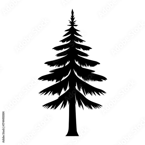 Fir tree black element, evergreen pine flat silhouette. Vector illustration.