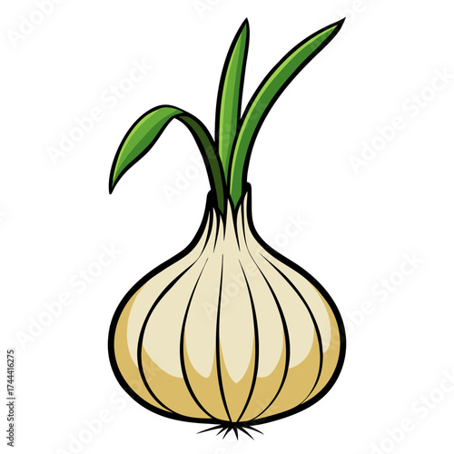Illustration of fresh onion vegetable with green sprouts for cooking and healthy eating diet