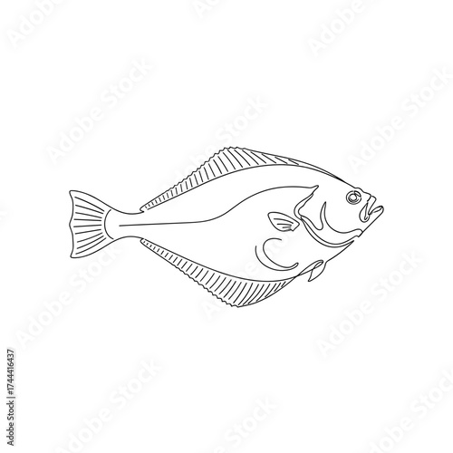 Flat flounder designed in minimalist black ink on a transparent background, naturalistic marine life study photo 
