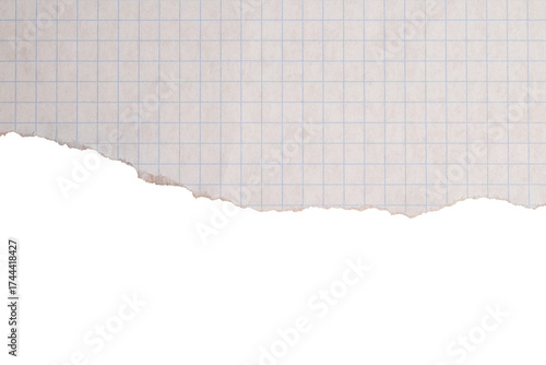 Torn squared paper with transparent background

