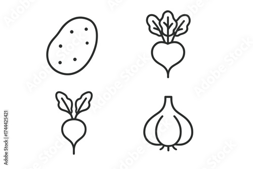 Simple line art of root vegetables: potato, beet, radish, garlic