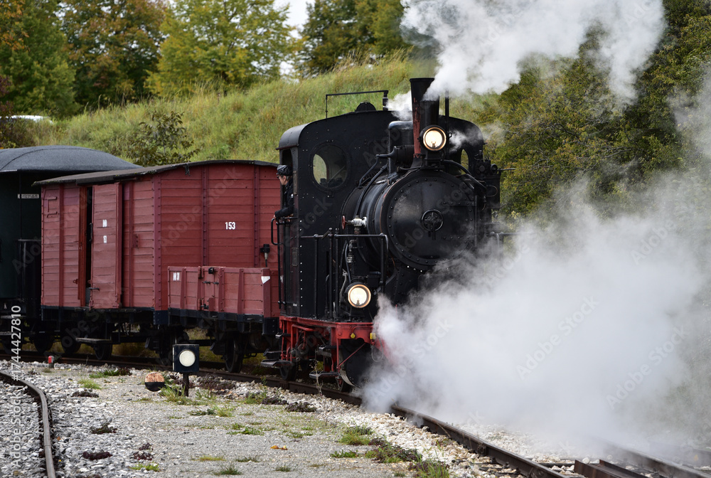 Fototapeta premium Schmalspur - Museumsbahn auf dem Härtsfeld mit Dampflokomotive, Personenwagen, Triebwagen in herbstlicher Landschaft