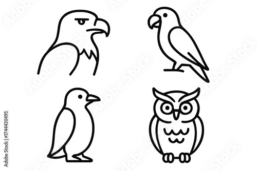 Set of simple line drawings of various bird species