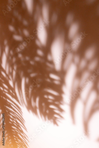 Shadows from defocused fir tree branches on a beige wall. Abstract background.