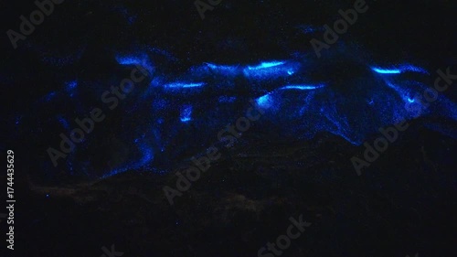 Bioluminescence (Noctiluca scintillans) in the waves