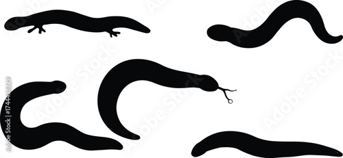Animal silhouettes, snake shape, lizard outline, worm figure, amphibian shadow, reptile design, wildlife icon, black vector, educational clipart, biology illustration