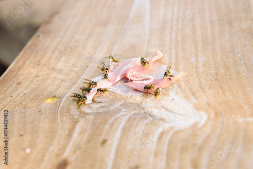 Photos Wasps devour a slice of ham on a wooden surface in a sunny outdoor setting
