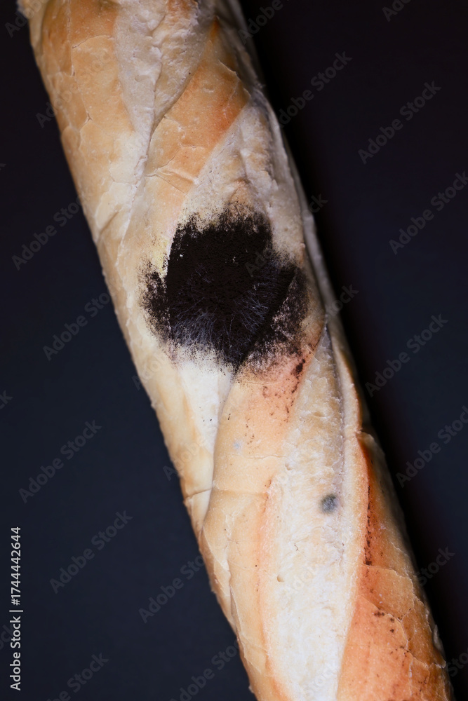 Φωτογραφία Macro Close Up Of A Large Spot Of Black Mold (Rhizopus Stolonifer) Growing On The Crust Of A Stale French Baguette