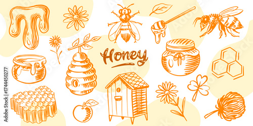 Honey set. Jars and a bee . Hand drawn spoon, honeycomb. Clover and chamomile. Engraved elements for your design.