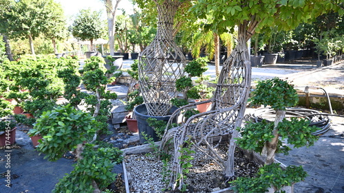 Outdoor garden featuring bonsai trees, shaped greenery, and wooden plant sculptures under natural sunlight. A creative blend of nature, art, and landscape design.