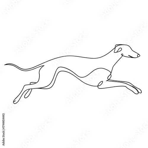 One line drawing of a greyhound dog running in motion  