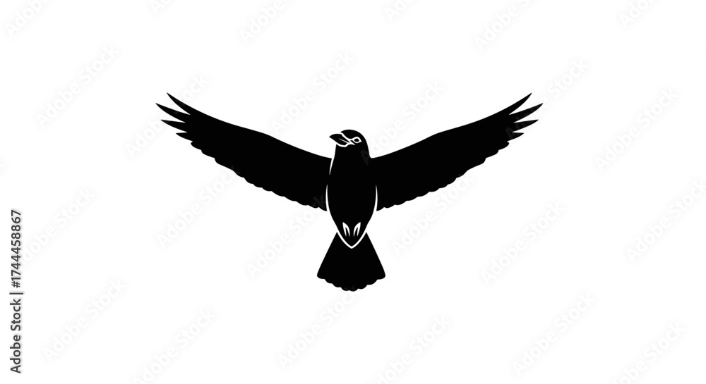 Fototapeta premium Black silhouette of a majestic bird with outstretched wings soaring against a pristine white background symbolizing freedom and power.