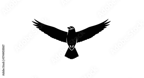 Black silhouette of a majestic bird with outstretched wings soaring against a pristine white background symbolizing freedom and power.