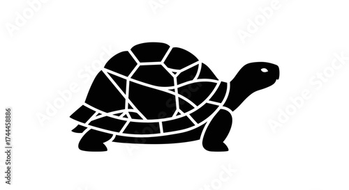 Black Silhouette of a Turtle with Geometric Shell Pattern on White Background.