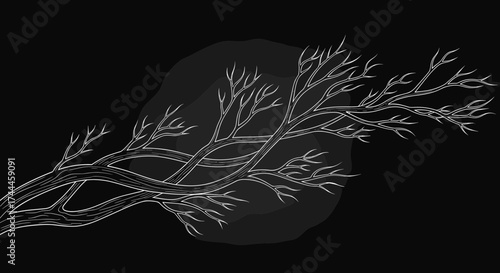 Bare Tree Branches Silhouette Against Full Moon.