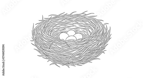 Bird Nest with Eggs Illustration.