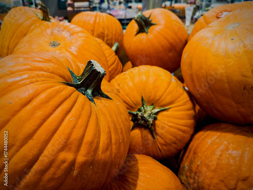 Ready for Halloween