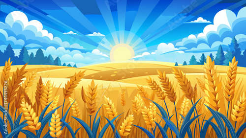 Very beautiful Wheat field under bright sun and blue sky with clouds