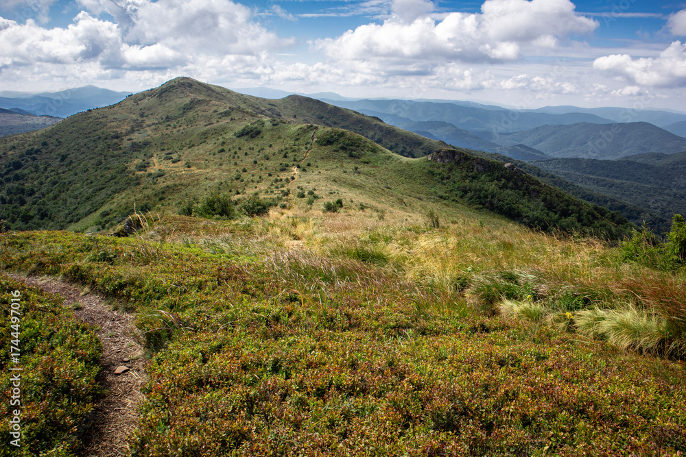 Fototapeta premium Poland ,Beautiful Bieszczady Mountains