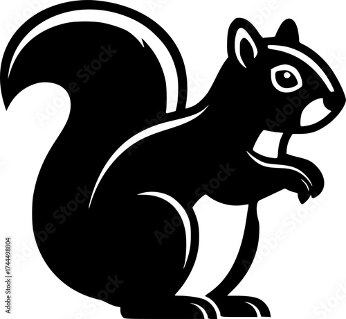Black and White Squirrel, standing in a bold, graphical way, ready for action.
