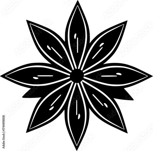 Anise-shaped star anise flower in black and white, symmetrical floral composition, clean look.
