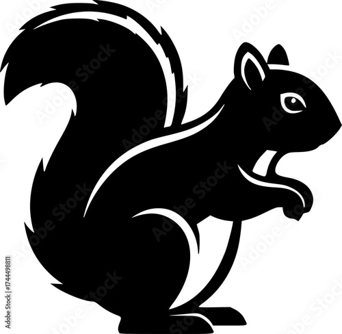 Black and White Squirrel, standing in a bold, graphical way, ready for action.
