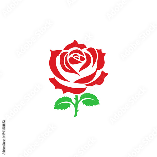 Red rose vector illustration. Abstract flower 
