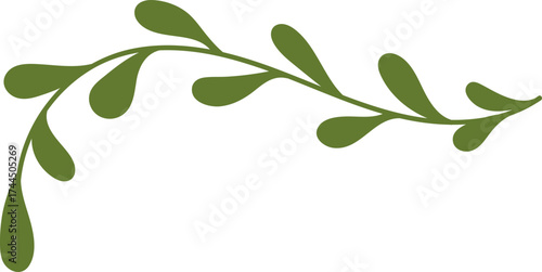 Flowing Leafy Branch