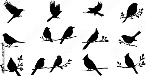 Set of Black Bird Silhouettes Flying and Perching on Tree Branches