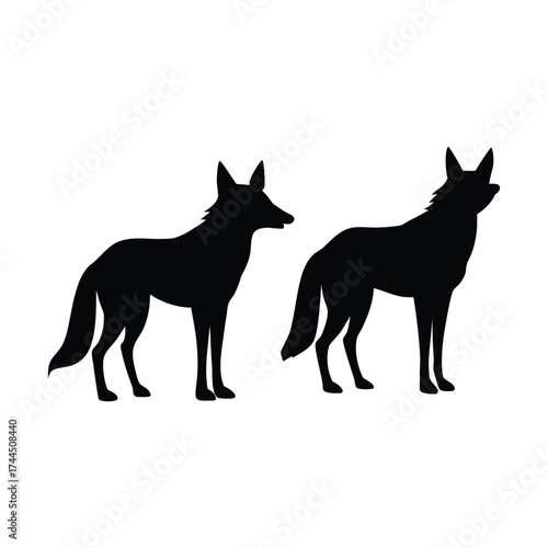 Jackal Silhouette Set on White Background