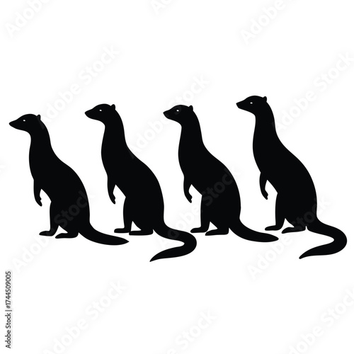 Mongoose Silhouette Set on White Background