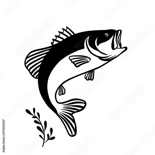 Bass. Bass simple black and white line art vector logo