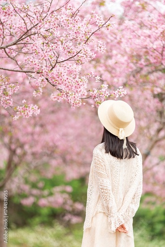 Back View of Woman Under Pink Cherry Blossom Tree in Spring Season with Straw Hat and White Dress Scarf