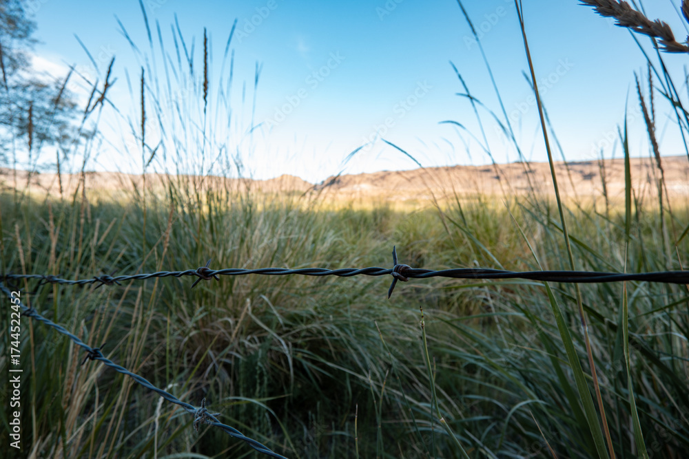Fototapeta premium Barbed Wire Fence in Grassy Nevada Landscape at Sunrise