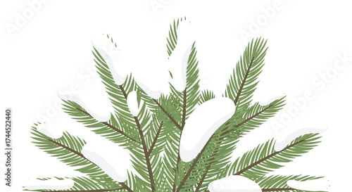 Winter scene displaying a snow-covered evergreen tree branch illustration