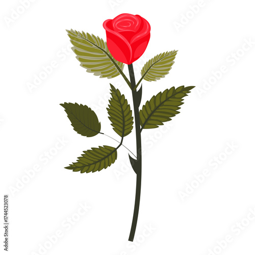 Bright red rose. Cute flower on a slightly inclined stem. Vector illustration isolated on a white background.